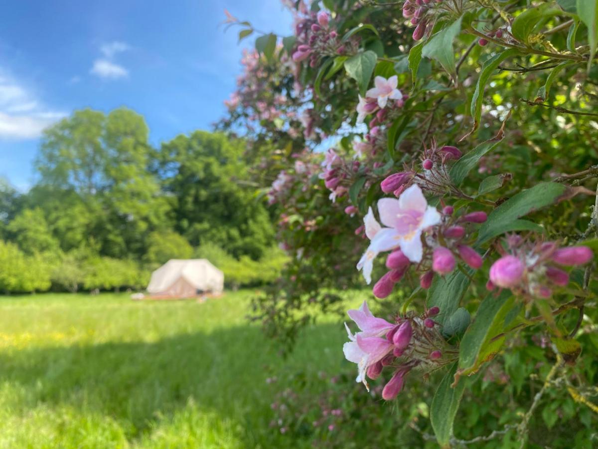 Green Glamping Sønderborg Zewnętrze zdjęcie