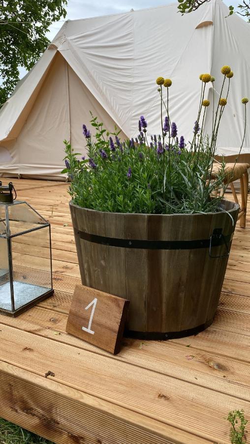 Green Glamping Sønderborg Zewnętrze zdjęcie
